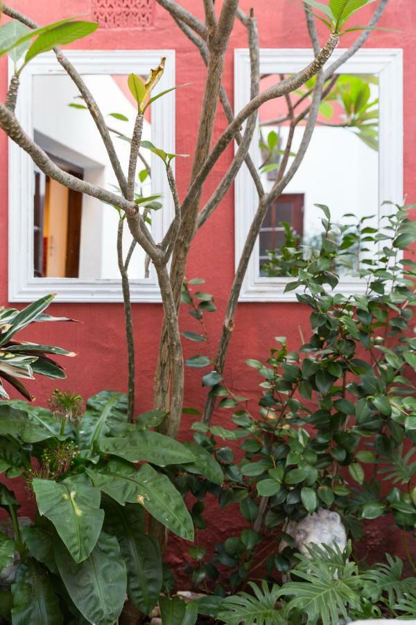 Central Cape Town, Stylish Home, With Private Courtyard Eksteriør billede
